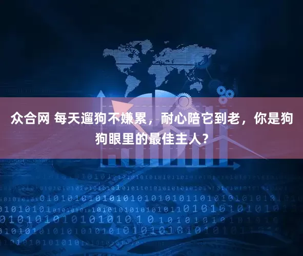 众合网 每天遛狗不嫌累，耐心陪它到老，你是狗狗眼里的最佳主人？