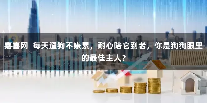 嘉喜网  每天遛狗不嫌累，耐心陪它到老，你是狗狗眼里的最佳主人？
