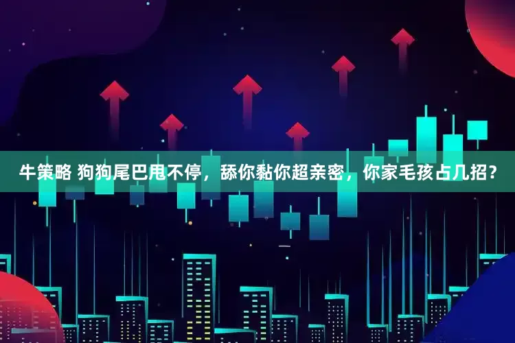 牛策略 狗狗尾巴甩不停，舔你黏你超亲密，你家毛孩占几招？